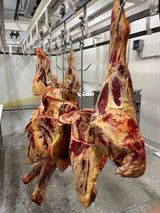 Whole & Half Carcass (Cow) - Complete Custom-Now Taking Orders!