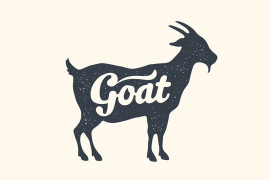 Goat Shoulder